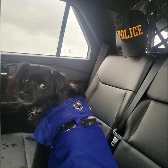 Meet LT Toby - Picture 3 of 13